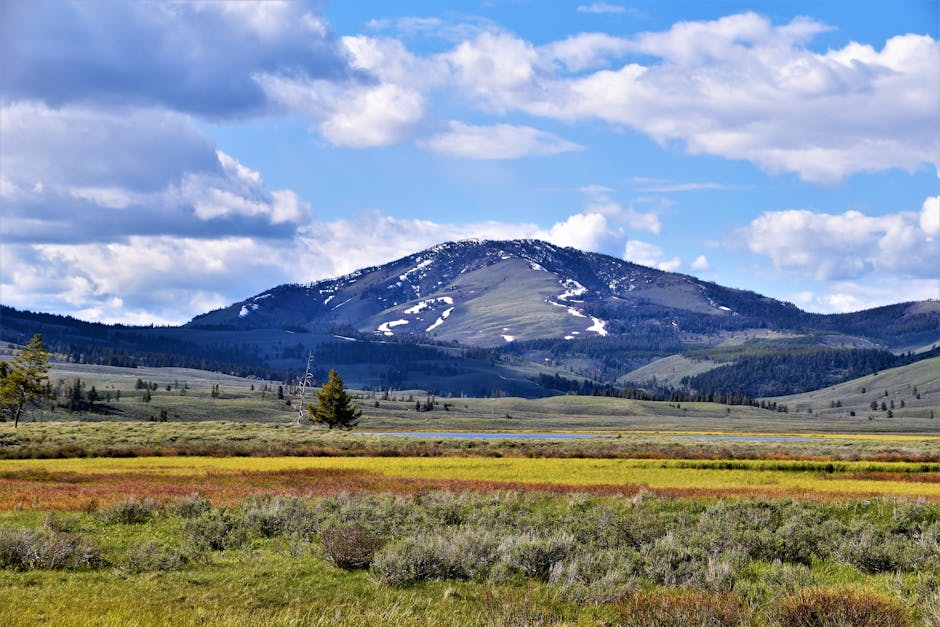 Yellowstone 국립공원 여행