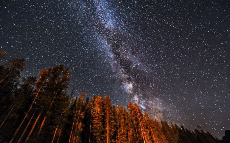 Teton 국립공원 여행미국 서부 캠핑카 여행