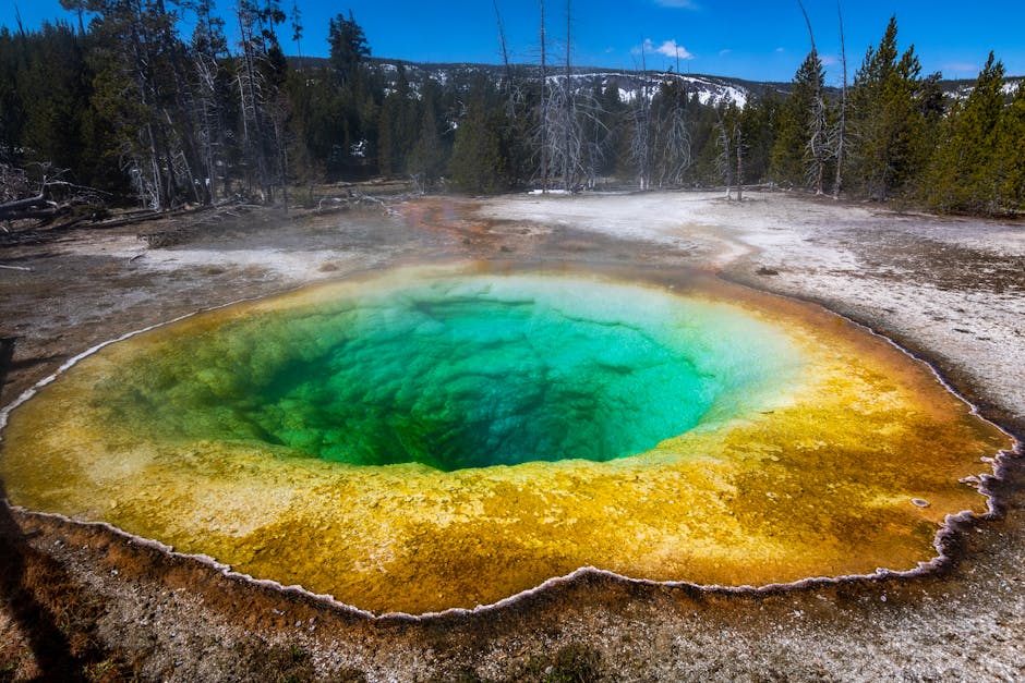 Yellowstone 국립공원 여행