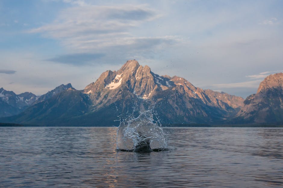 Teton 국립공원 여행