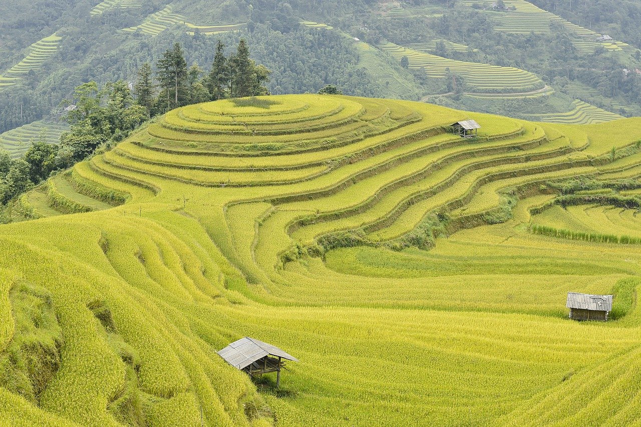 베트남 다낭 여행지 추천