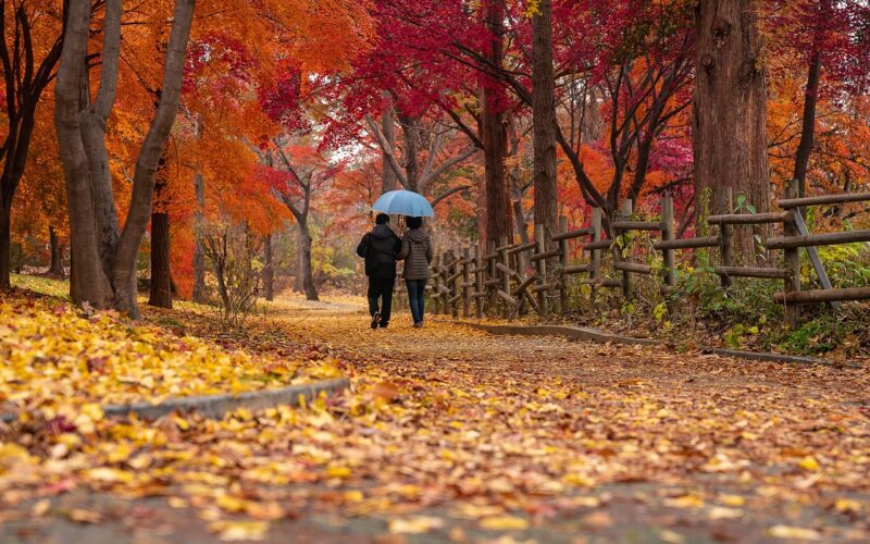 미국 Maine주 단풍 여행지 추천